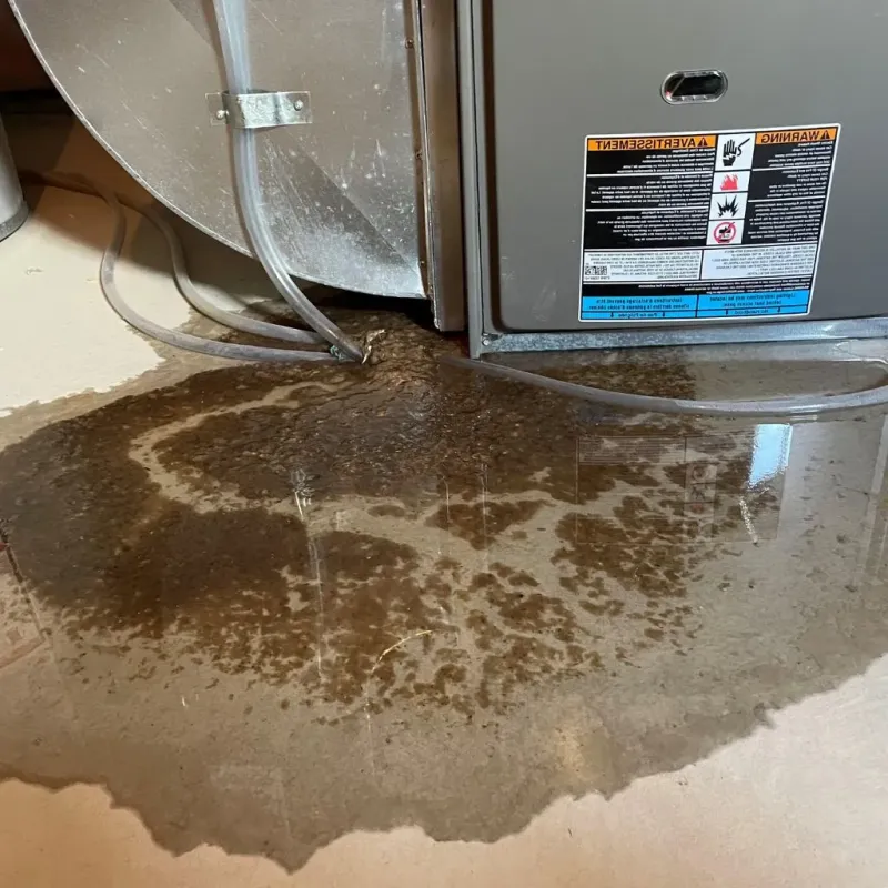 Pipe Burst and Leak Restoration in Lone Grove, OK