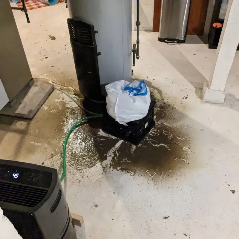 Sewage Backup Cleanup Service in Lone Grove, OK